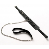 Черный ошейник с шипами и поводком - Crazy Handmade - купить с доставкой в Сургуте