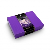 Подарочный набор Naughter Kit - Shunga - купить с доставкой в Сургуте