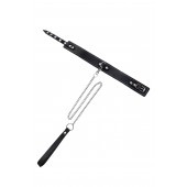 Кожаный двухслойный ошейник с белой строчкой и поводком - Pecado - купить с доставкой в Сургуте