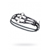 Черный кожаный пояс с кольцами - Pecado - купить с доставкой в Сургуте