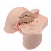 Мастурбатор-полуторс Naked Factory Kate - Naked Factory - в Сургуте купить с доставкой