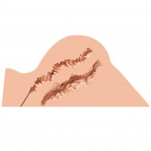 Мастурбатор-полуторс Naked Factory Hannah - Naked Factory - в Сургуте купить с доставкой