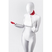 Красный ошейник с подкладкой из меха - ToyFa - купить с доставкой в Сургуте