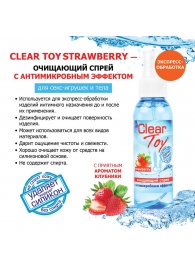 Очищающий спрей для игрушек CLEAR TOY Strawberry - 100 мл. - Биоритм - купить с доставкой в Сургуте