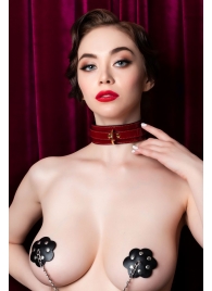 Красный ошейник из лакированного материала - ToyFa - купить с доставкой в Сургуте