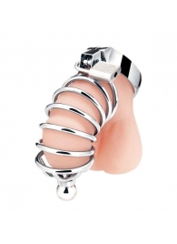 Серебристая клетка для члена Urethral Play Cage - BlueLine - купить с доставкой в Сургуте