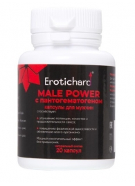 Капсулы для мужчин Erotichard male power с пантогематогеном - 20 капсул (0,370 гр.) - Erotic Hard - купить с доставкой в Сургуте