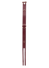 Бордовый ремень Halo Waist Belt - размер L-XL - Shots Media BV - купить с доставкой в Сургуте