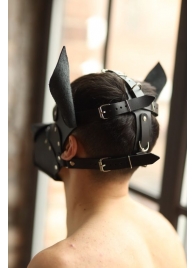 Эффектная маска собаки с металлическими заклепками - БДСМ Арсенал - купить с доставкой в Сургуте