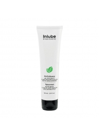 Водный лубрикант Nuei Inlube с алоэ вера и ароматом мяты - 100 мл. - Nuei cosmetics - купить с доставкой в Сургуте