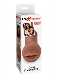 Мастурбатор-ротик Coed Cocksucker - Pipedream - в Сургуте купить с доставкой
