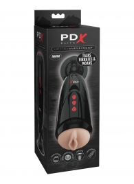 Мастурбатор-вагина с вибрацией Dirty Talk Starter Stroker - Pipedream - в Сургуте купить с доставкой