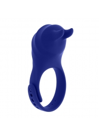 Синее эрекционное виброкольцо с клиторальной подушечкой и пультом ДУ Adjustable Fun Ring - Zero Tolerance - в Сургуте купить с доставкой