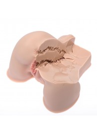 Мастурбатор-полуторс Naked Factory Kate - Naked Factory - в Сургуте купить с доставкой