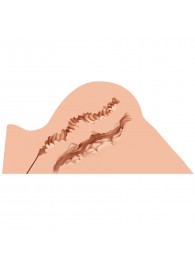 Мастурбатор-полуторс Naked Factory Hannah - Naked Factory - в Сургуте купить с доставкой