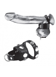 Утяжка для мошонки и пениса Cock Ring With 1  Ball Stretcher And Optional Weight Ring - BlueLine - купить с доставкой в Сургуте