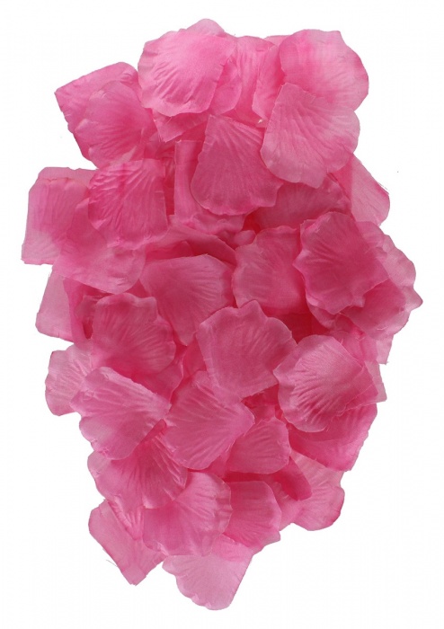 Эротический набор FANTASTIC PURPLE SEX TOY KIT - Toy Joy - купить с доставкой в Сургуте