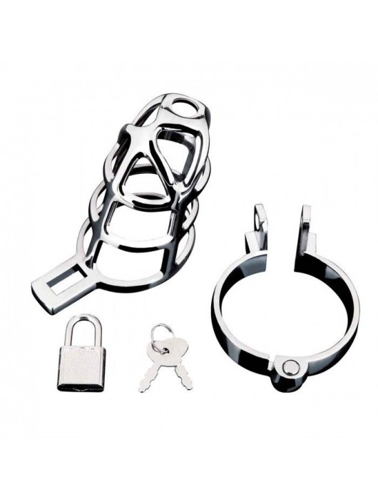 Серебристая металлическая клетка для члена с замком Enslave Cock Cage - BlueLine - купить с доставкой в Сургуте