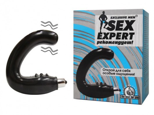 Чёрный массажёр простаты серии Sex Expert - Sex Expert - в Сургуте купить с доставкой