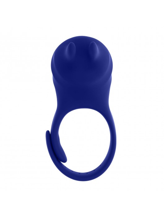 Синее эрекционное виброкольцо с клиторальной подушечкой и пультом ДУ Adjustable Fun Ring - Zero Tolerance - в Сургуте купить с доставкой