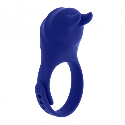 Синее эрекционное виброкольцо с клиторальной подушечкой и пультом ДУ Adjustable Fun Ring - Zero Tolerance - в Сургуте купить с доставкой