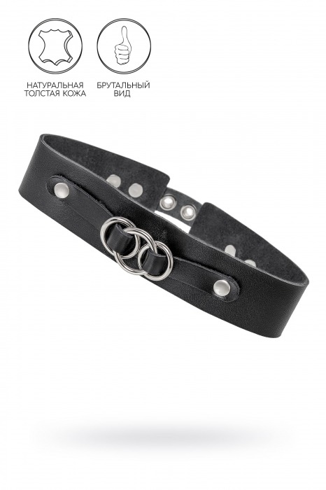Черный чокер-ошейник со связанными кольцами на подложке - Pecado - купить с доставкой в Сургуте