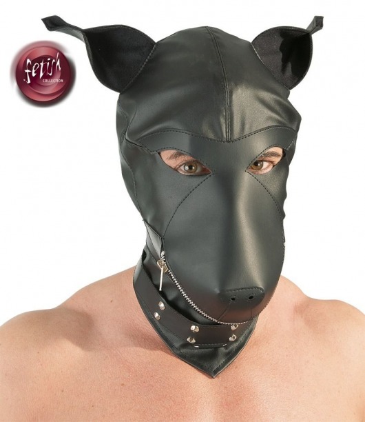Шлем-маска Dog Mask в виде морды собаки - Orion - купить с доставкой в Сургуте