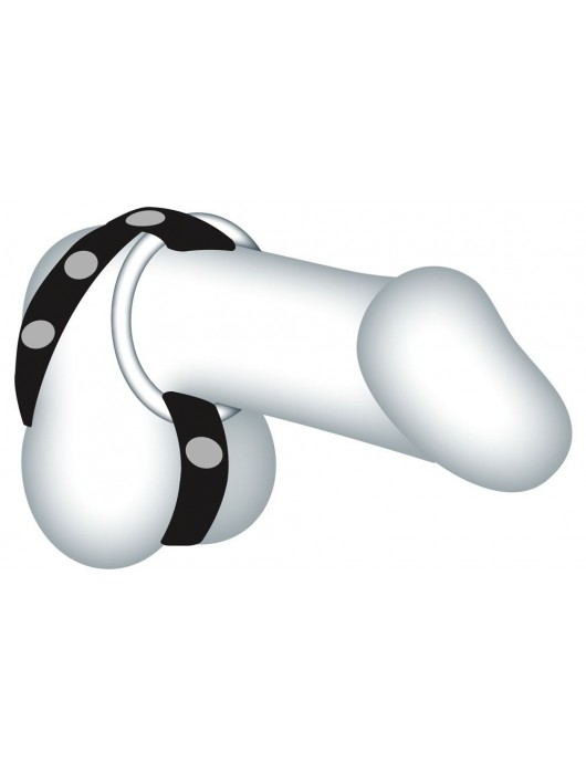 Подхват для мошонки с 3 съемными эрекционными кольцами Leder-Riemen - Orion - в Сургуте купить с доставкой