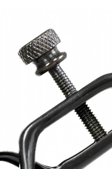 Черно-золотистые зажимы для сосков TOYFA Theatre - ToyFa - купить с доставкой в Сургуте