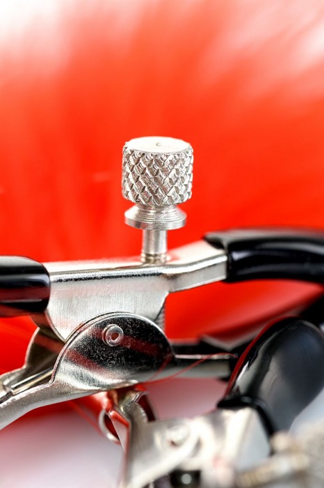 Зажимы для сосков с красным пухом Theatre - ToyFa - купить с доставкой в Сургуте